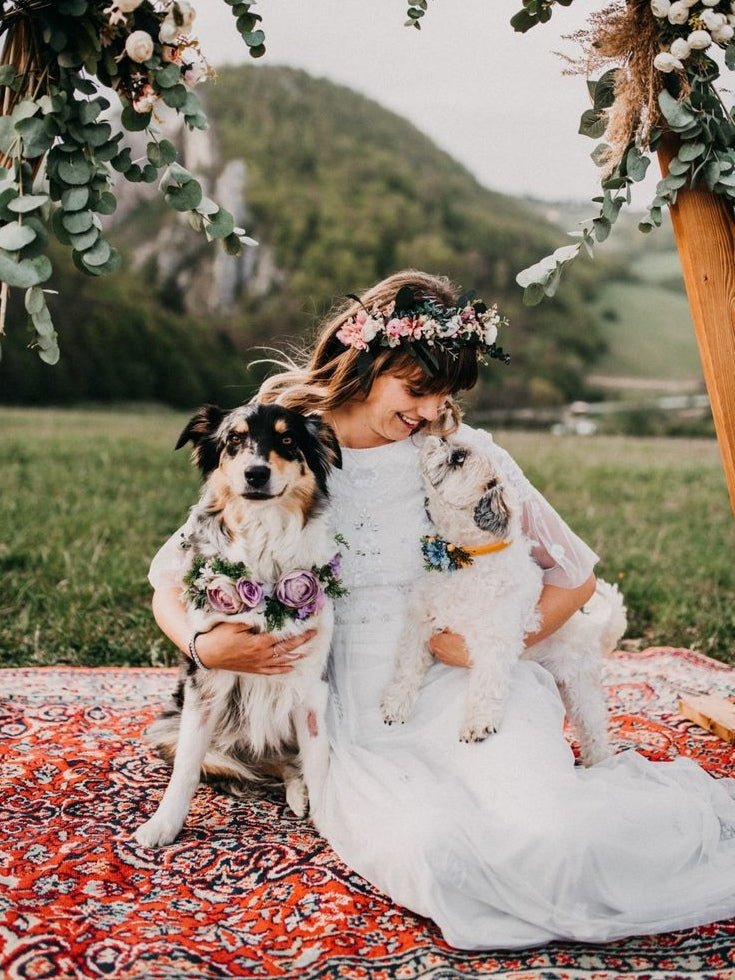 Flower Dog Collar: When Your Four-Legged Best Friend Is Part of Your Big Day - magaela