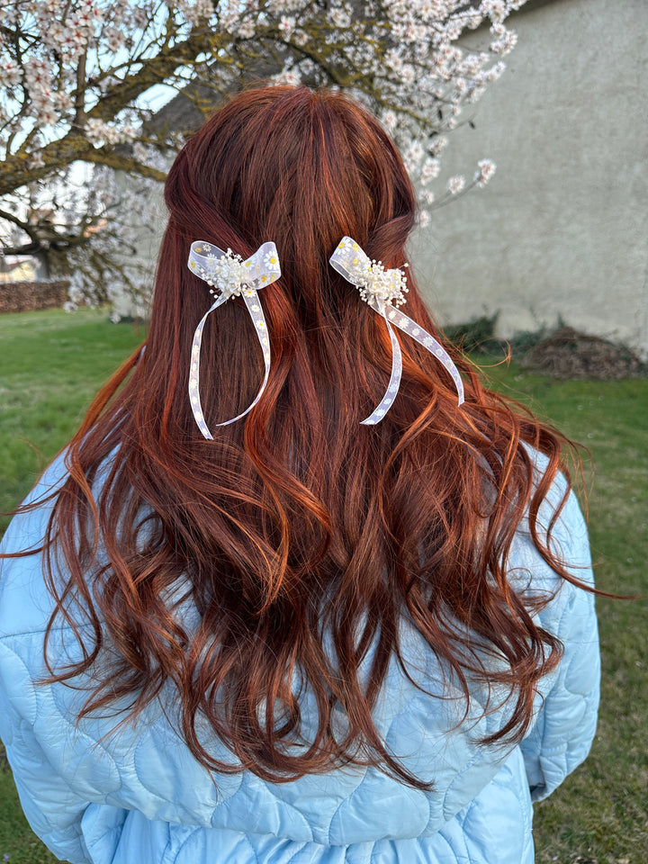 Daisy Bow Hair Clip with Small White Flowers and Preserved Gypsophila