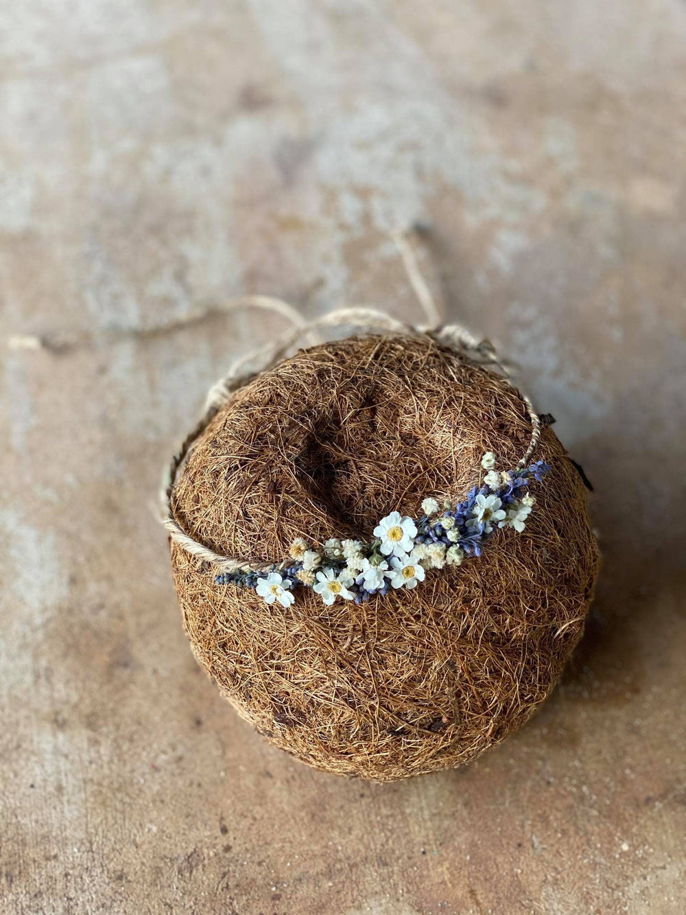 Lavender Newborn Flower Crown: Dried Flower Hair Wreath Photo Prop – handmade floral hair accessory by magaela