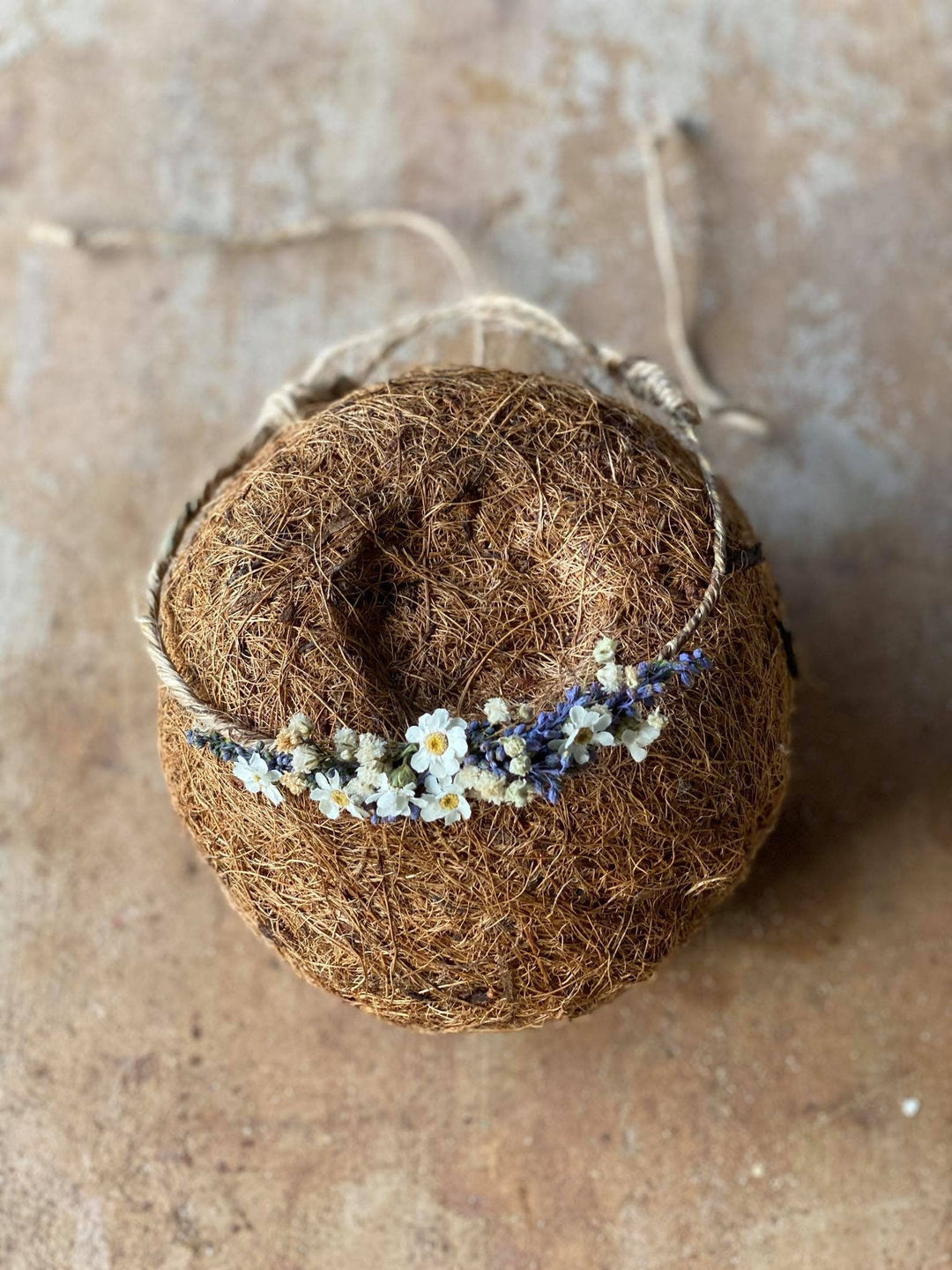 Lavender Newborn Flower Crown: Dried Flower Hair Wreath Photo Prop – handmade floral hair accessory by magaela