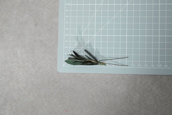 Greenery Wedding Hairpins: Handmade Rosemary & Olive Bridal Hair Accessories – handmade floral hair accessory by magaela