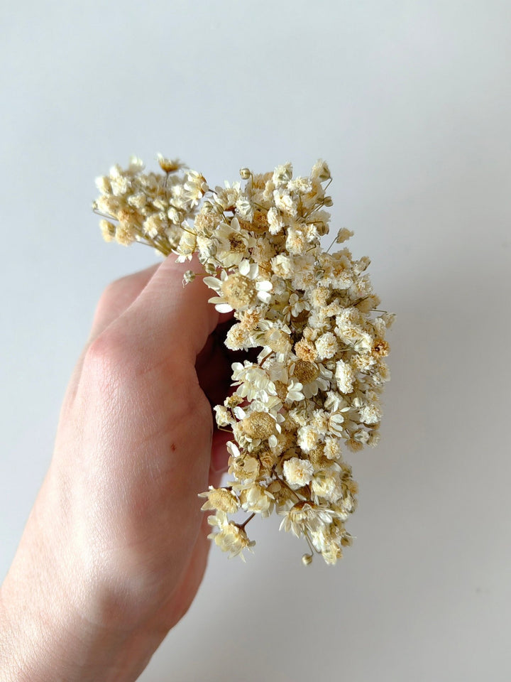 Ivory Baby's Breath Hairpins: Preserved Flower Bridal Accessories – handmade floral hair accessory by magaela