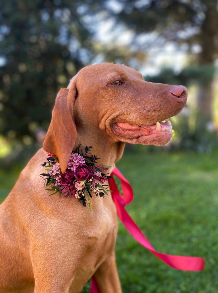 Floral Dog Collar: Burgundy Pink Wedding Flower Collar (S Size) – handmade floral hair accessory by magaela
