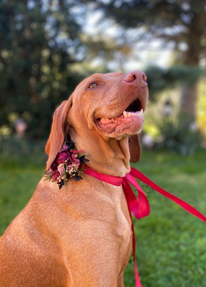 Floral Dog Collar: Burgundy Pink Wedding Flower Collar (S Size) – handmade floral hair accessory by magaela