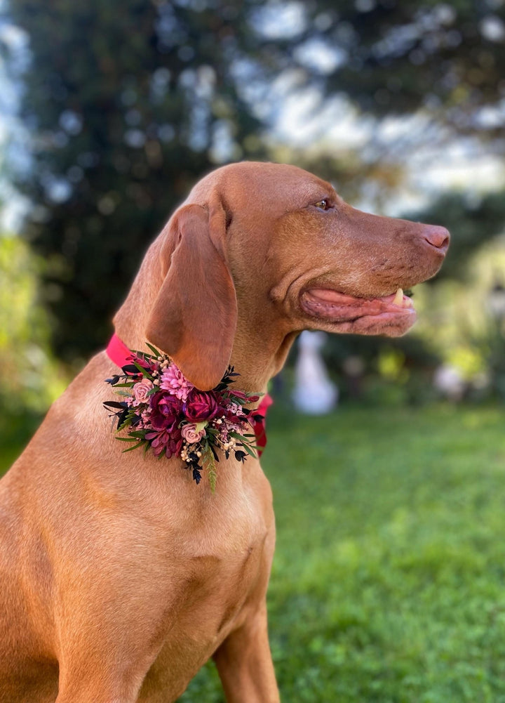 Floral Dog Collar: Burgundy Pink Wedding Flower Collar (S Size) – handmade floral hair accessory by magaela