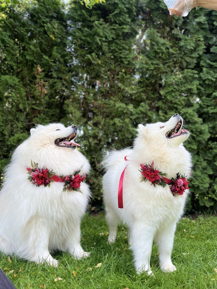 Floral Dog Collar: Burgundy Pink Wedding Flower Collar – handmade floral hair accessory by magaela