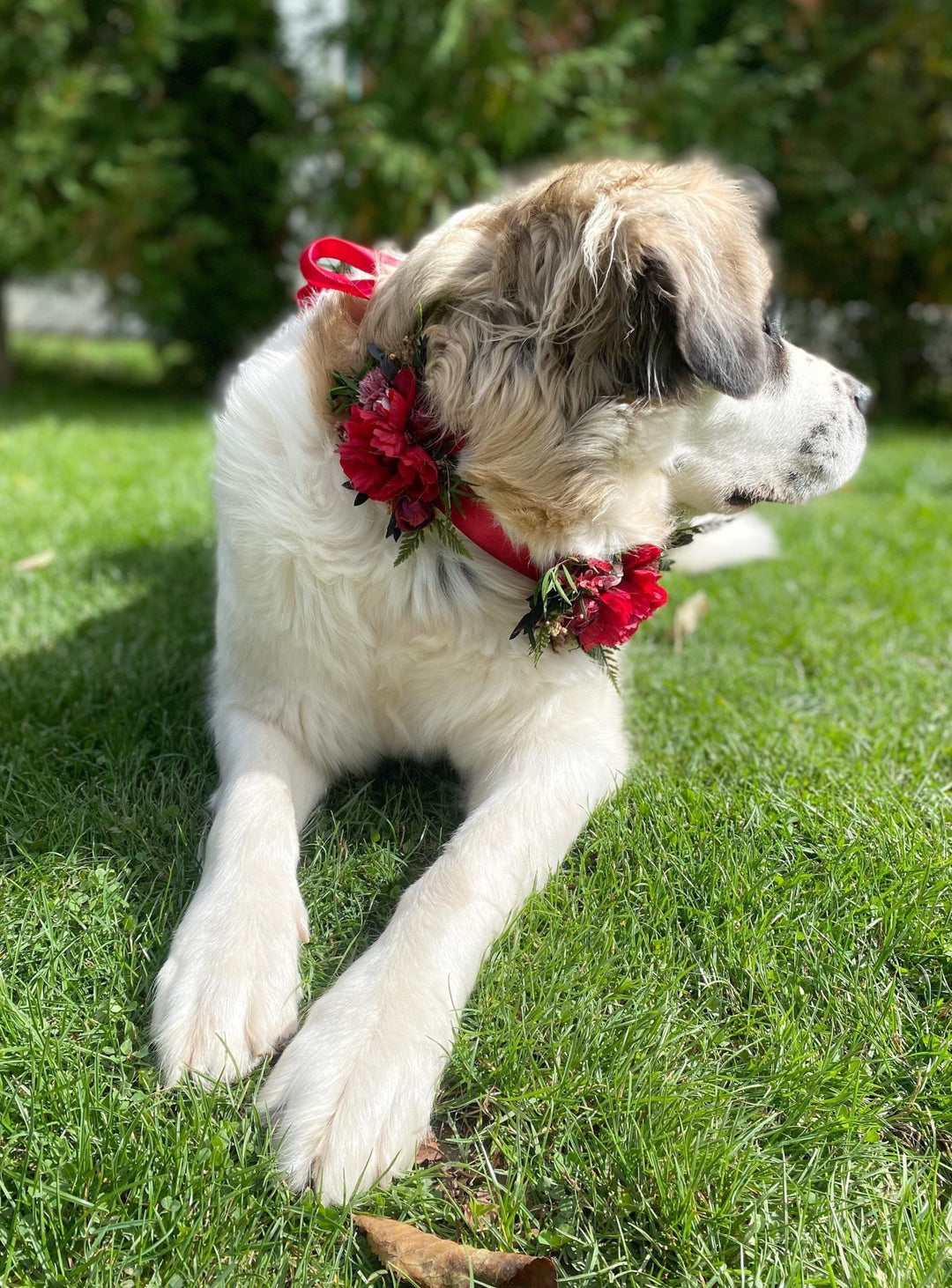 Floral Dog Collar: Burgundy Pink Wedding Flower Collar – handmade floral hair accessory by magaela