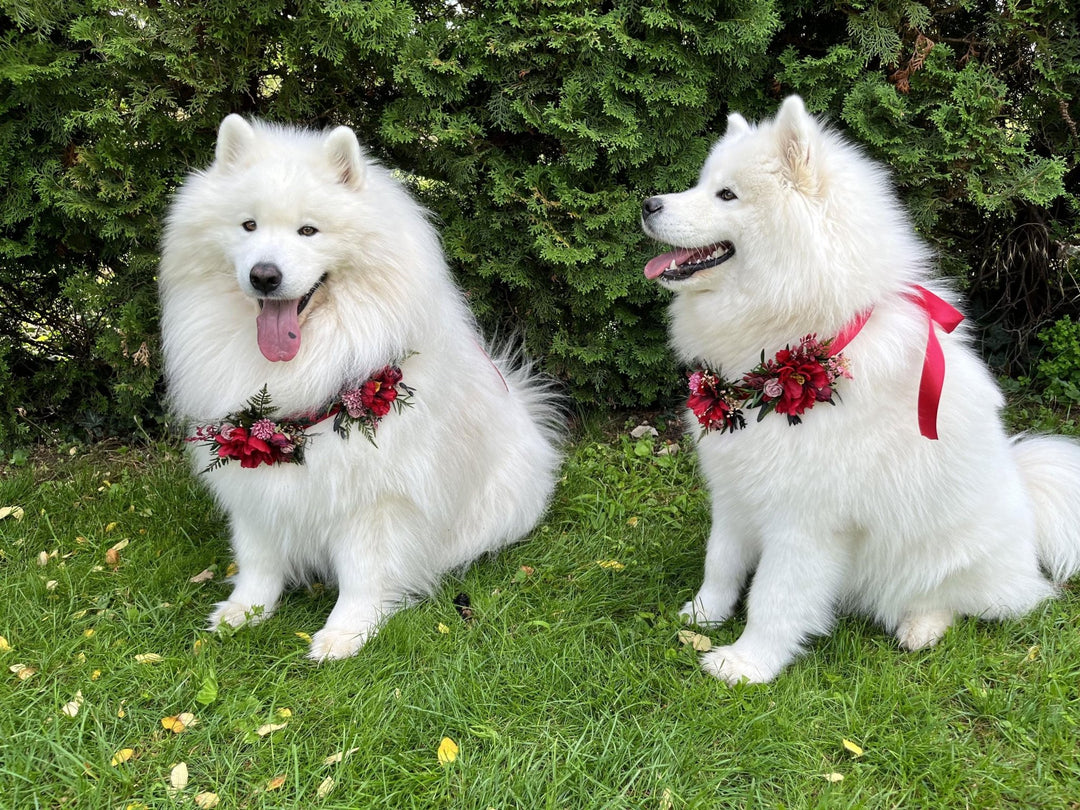 Floral Dog Collar: Burgundy Pink Wedding Flower Collar – handmade floral hair accessory by magaela