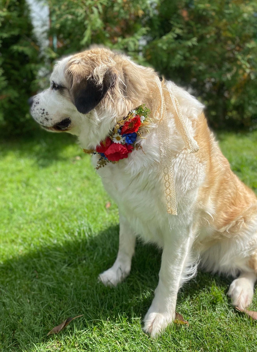 Floral Dog Collar: Folk Meadow Poppy Flower Design, Size L – handmade floral hair accessory by magaela