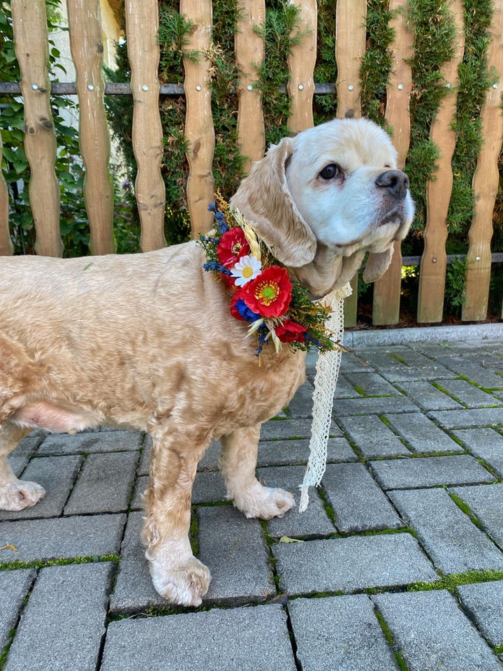Floral Dog Collar: Poppy Folk Meadow Design - Wedding Accessory (M size) – handmade floral hair accessory by magaela