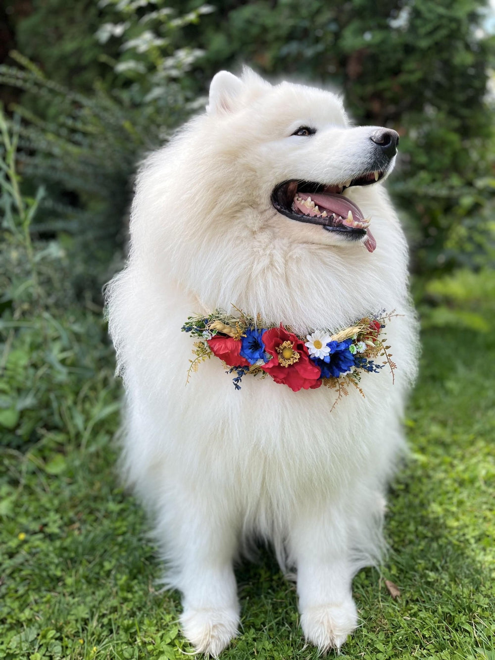 Floral Dog Collar: Folk Meadow Poppy Flower Design, Size L – handmade floral hair accessory by magaela