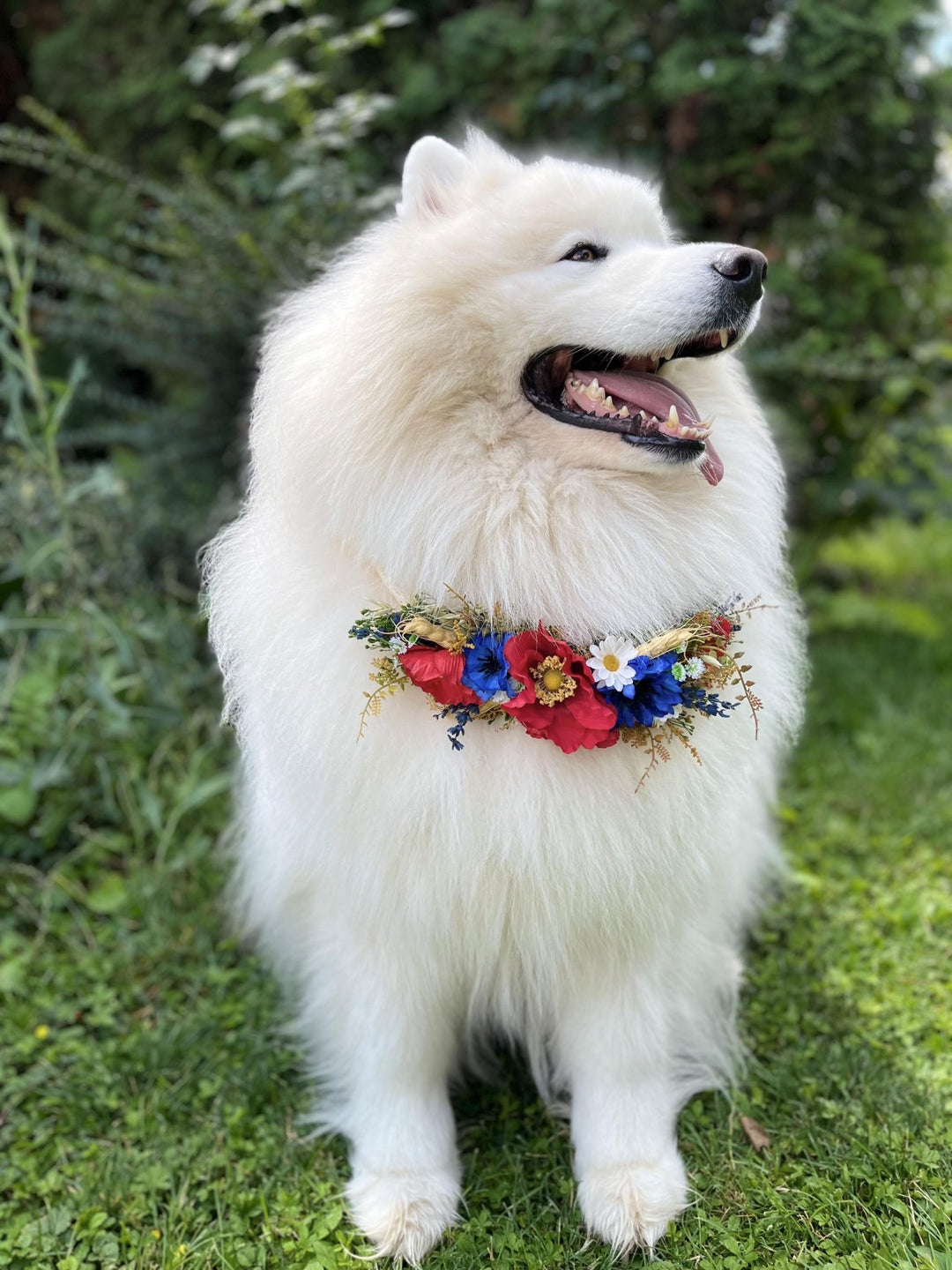 Floral Dog Collar: Folk Meadow Poppy Flower Design, Size L – handmade floral hair accessory by magaela