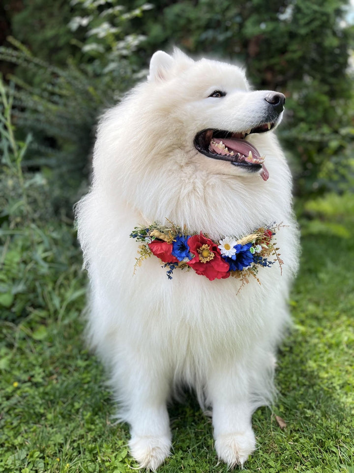 Floral Dog Collar: Folk Meadow Poppy Flower Design, Size L – handmade floral hair accessory by magaela