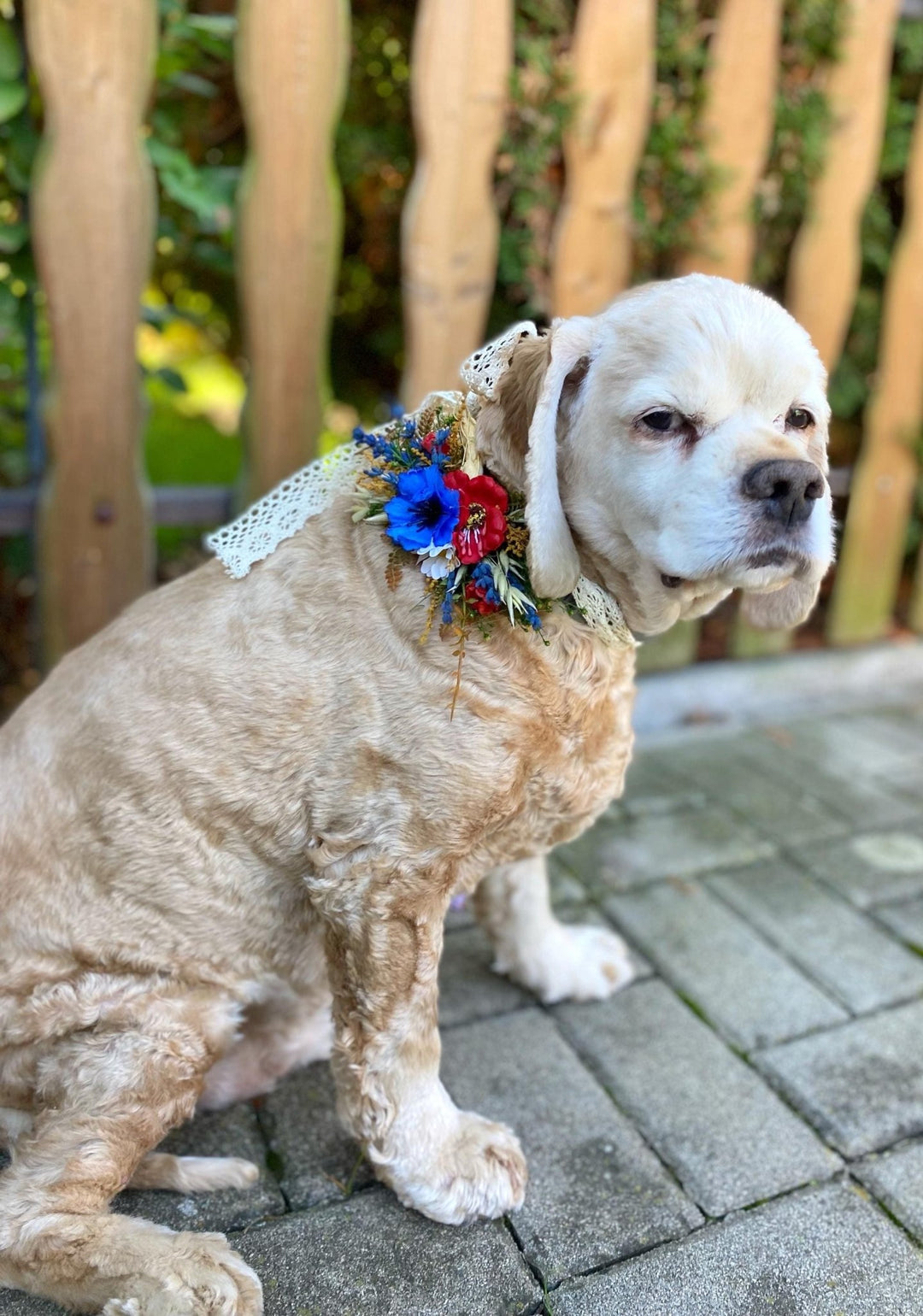 Floral Dog Collar: Poppy Meadow Design, Wedding Accessory (S Size) – handmade floral hair accessory by magaela