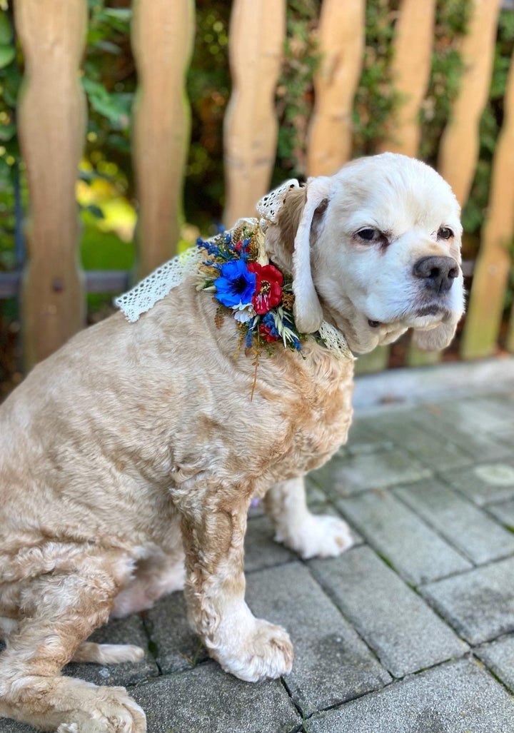 Floral Dog Collar: Poppy Meadow Design, Wedding Accessory (S Size) – handmade floral hair accessory by magaela