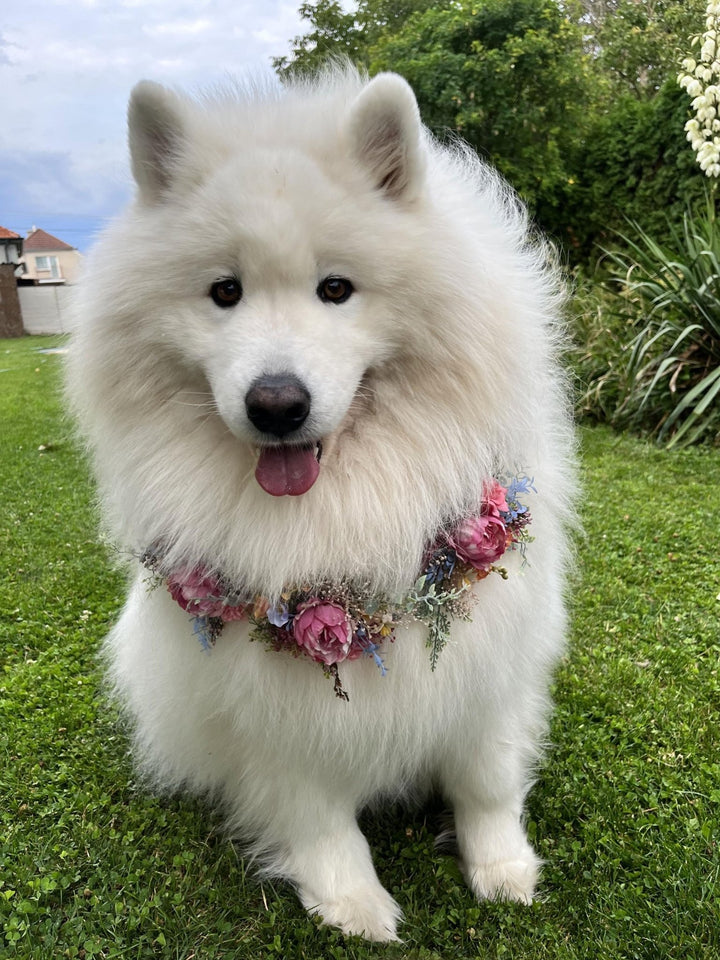 Floral Dog Collar: Garden Wedding Flower Collar (L Size) – handmade floral hair accessory by magaela