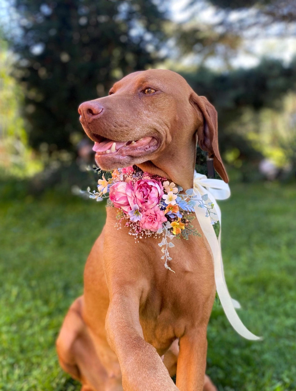 Floral Dog Collar: Garden Wedding Flower Collar, M Size – handmade floral hair accessory by magaela