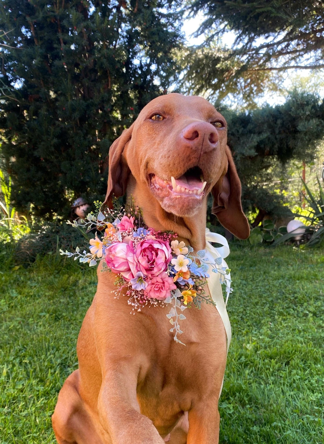 Floral Dog Collar: Garden Wedding Flower Collar, M Size – handmade floral hair accessory by magaela