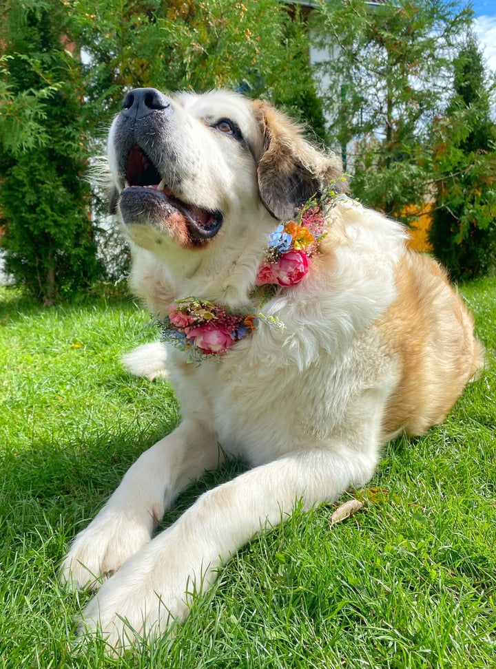 Floral Dog Collar: Garden Wedding Flower Collar (L Size) – handmade floral hair accessory by magaela