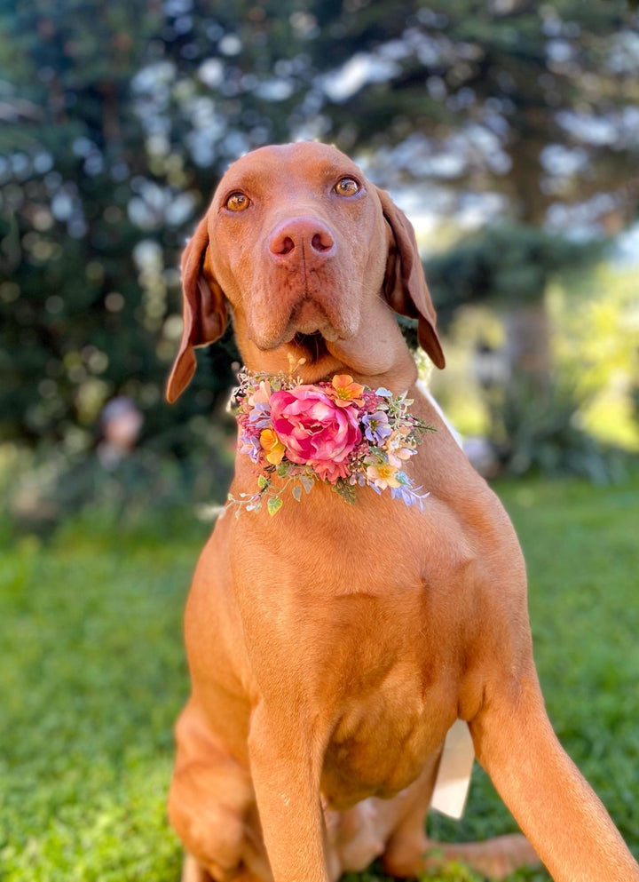 Floral Dog Collar - Garden Wedding Flower Collar (S Size) – handmade floral hair accessory by magaela