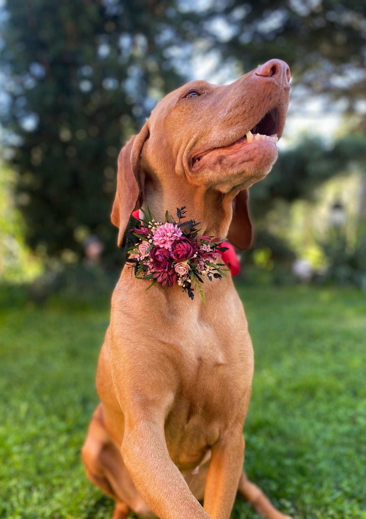 Floral Dog Collar: Burgundy Pink Wedding Flower Collar (S Size) – handmade floral hair accessory by magaela