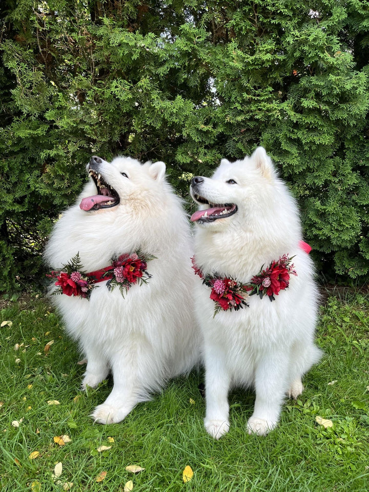 Floral Dog Collar: Burgundy Pink Wedding Flower Collar – handmade floral hair accessory by magaela