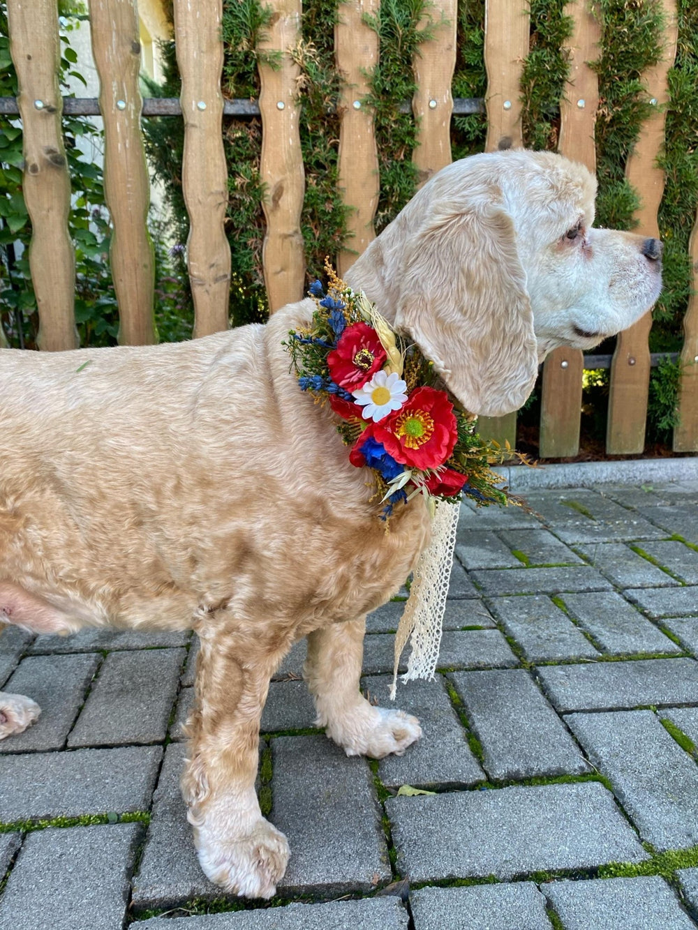 Floral Dog Collar: Poppy Folk Meadow Design - Wedding Accessory (M size) – handmade floral hair accessory by magaela