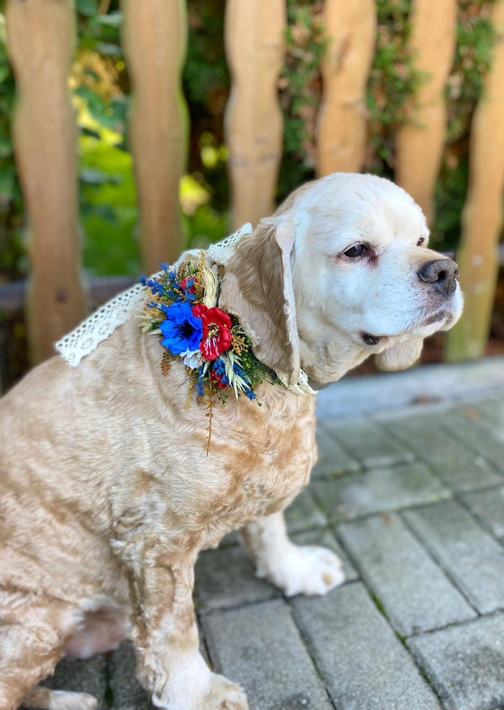 Floral Dog Collar: Poppy Meadow Design, Wedding Accessory (S Size) – handmade floral hair accessory by magaela