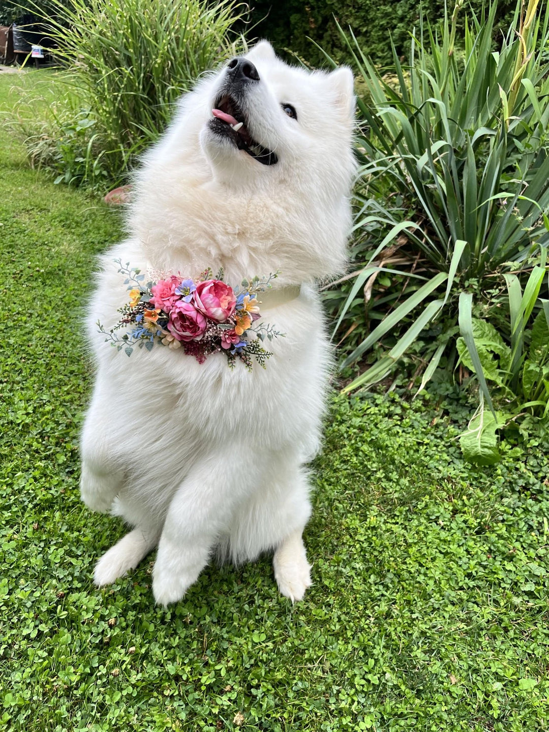 Floral Dog Collar: Garden Wedding Flower Collar, M Size – handmade floral hair accessory by magaela
