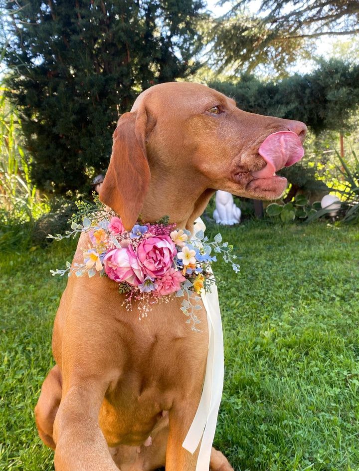 Floral Dog Collar: Garden Wedding Flower Collar, M Size – handmade floral hair accessory by magaela