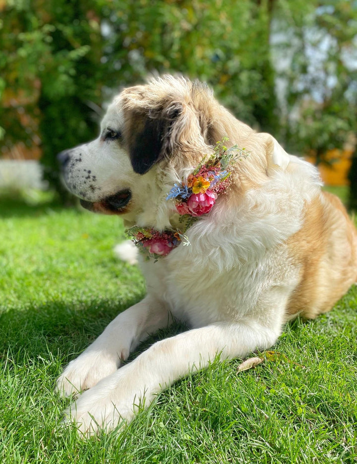 Floral Dog Collar: Garden Wedding Flower Collar (L Size) – handmade floral hair accessory by magaela
