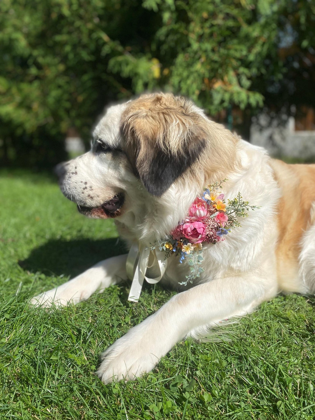 Floral Dog Collar: Garden Wedding Flower Collar, M Size – handmade floral hair accessory by magaela