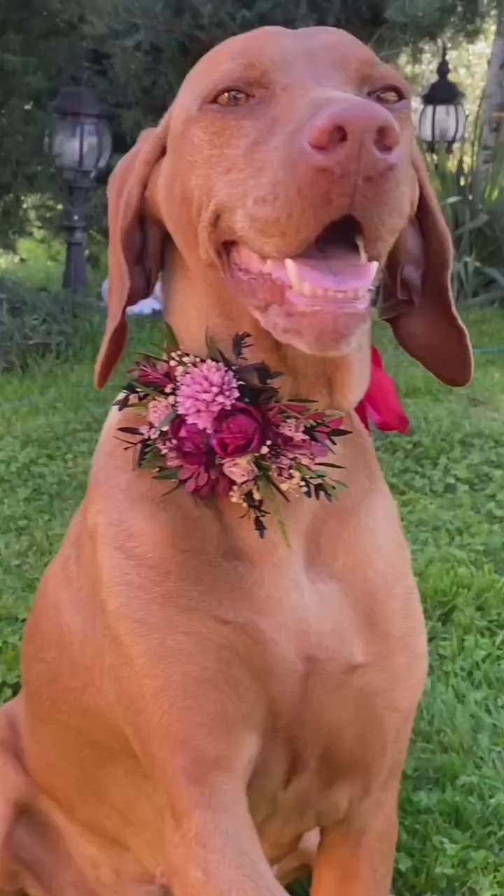 Floral Dog Collar: Burgundy Pink Wedding Flower Collar (S Size)
