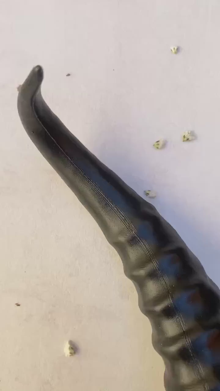 Blackberry Horned Crown: Gothic Flower Witch Headpiece