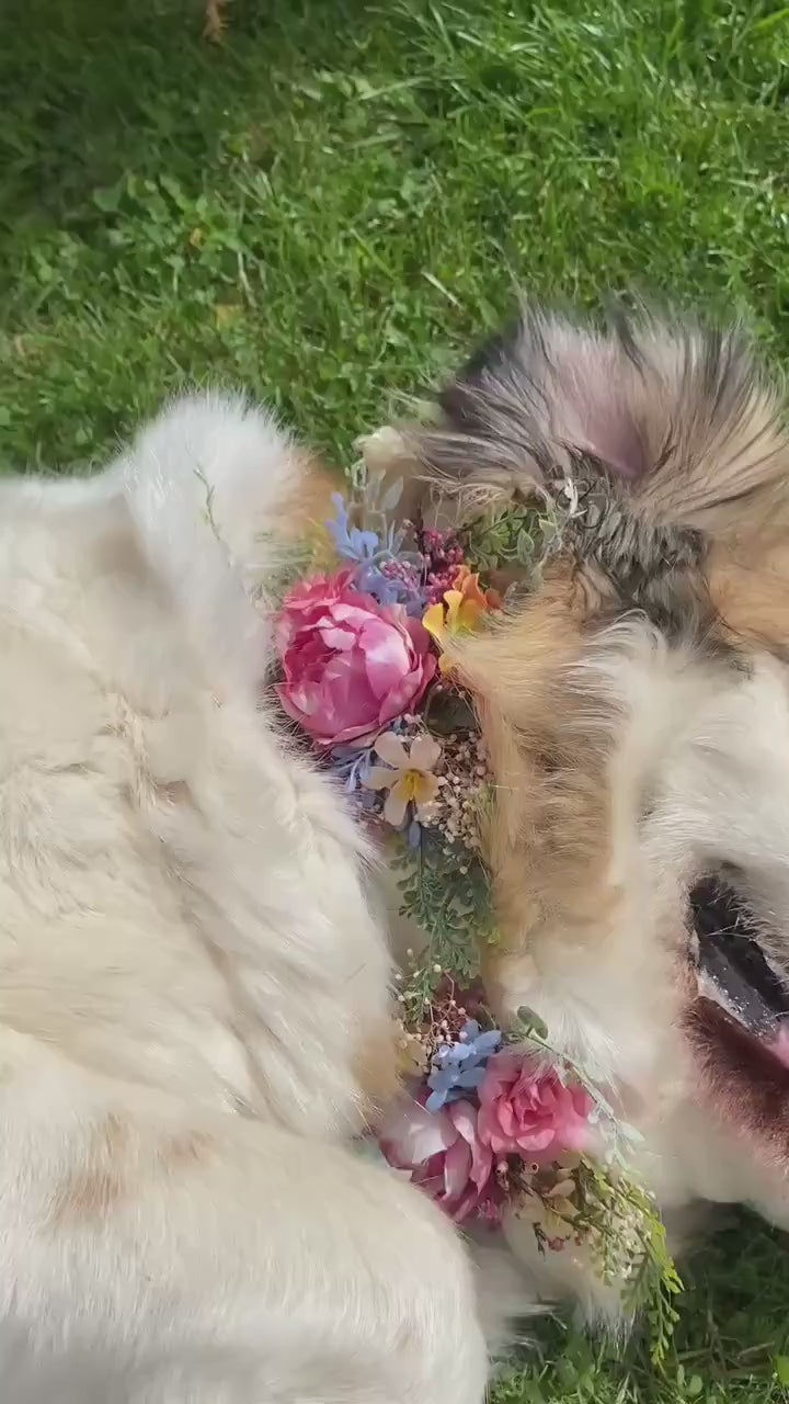 Floral Dog Collar: Garden Wedding Flower Collar (L Size)