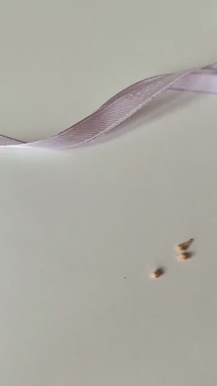 Daisy Flower Crown: Handmade Meadow Wedding Hair Wreath