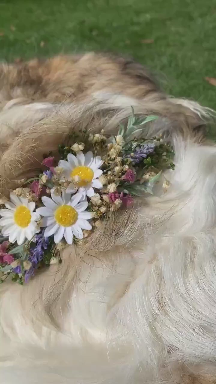 Floral Dog Collar with Lavender & Daisy - Wedding Pet Accessory (M Size)