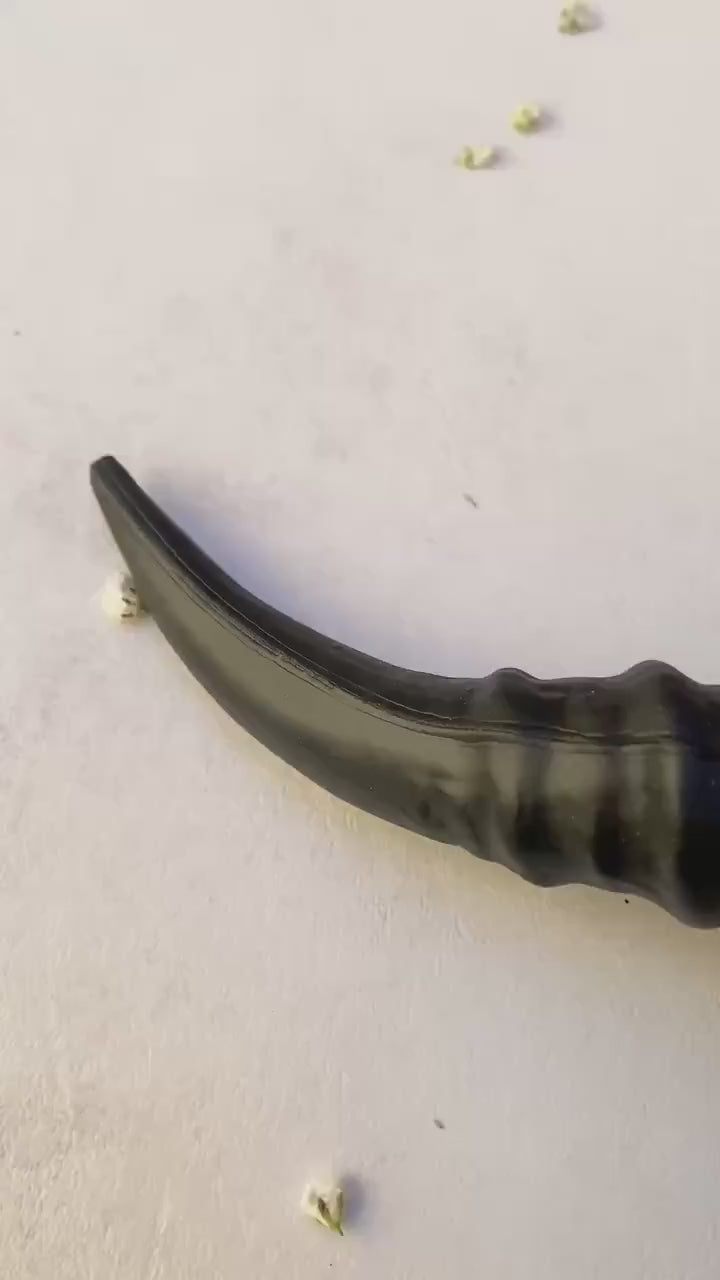 Woodland Horns Crown: Pagan Wiccan Headband, Fairycore Halloween