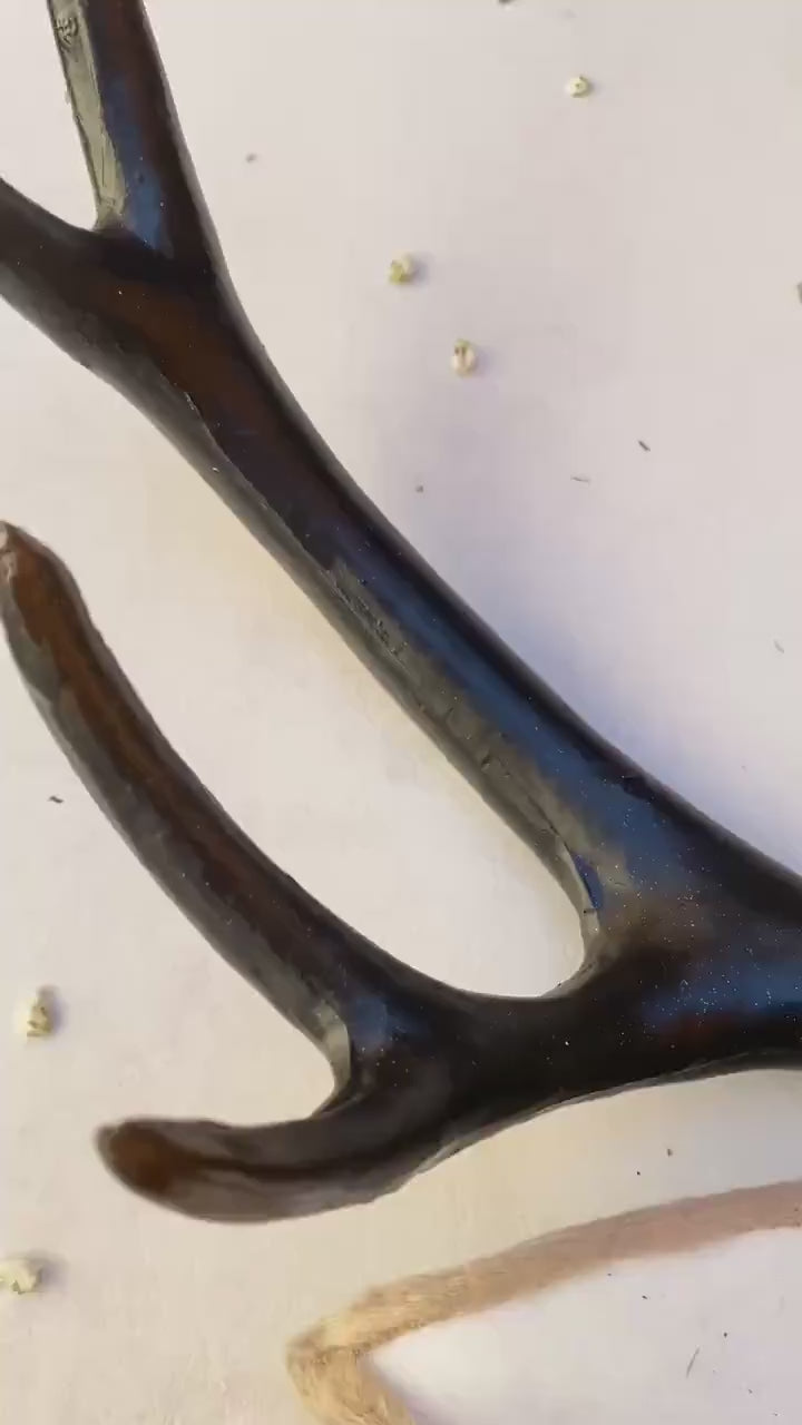 Fairytale Deer Antler Crown: Anemone Flower Headpiece, Pagan Fest Cosplay