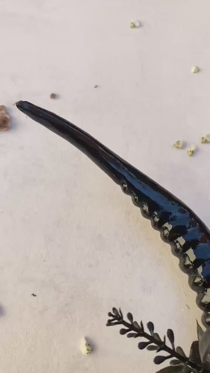 Red Rose & Black Horns Crown: Gothic Pagan Headpiece