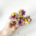 il_fullxfull.5014556896_kvb4.jpg