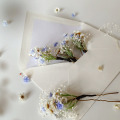 il_fullxfull.4925920746_tk2i.jpg