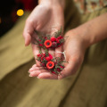 il_fullxfull.6396882407_ad35.jpg
