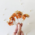 il_fullxfull.5963063539_g502.jpg