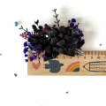 il_fullxfull.6270201662_3apa.jpg