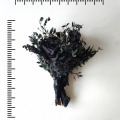 il_fullxfull.6319843277_liuq.jpg