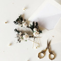 il_fullxfull.5816225034_s7o7.jpg