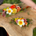 il_fullxfull.3216026963_k10e.jpg
