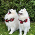 il_fullxfull.7280148583_s58n.jpg