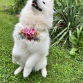 il_fullxfull.7280211299_174e.jpg